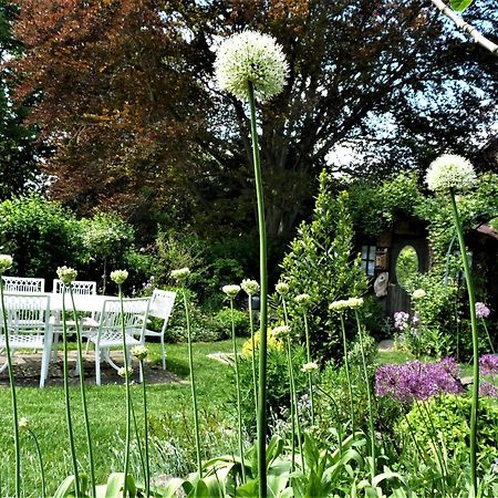 Le Jardin Des Miroirs Bed and Breakfast Esneux Eksteriør billede